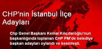CHP'nin İstanbul İlçe Adayları