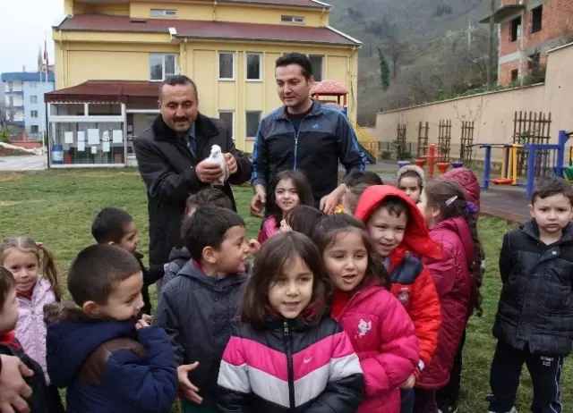 Postacı Güvercinleriyle Haberleşiyorlar
