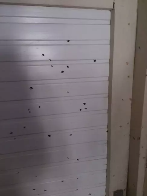 Pompalı Tüfekle Kahveyi Bastı Pompalı Tüfekle Kahveyi Bastı