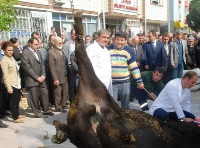 Lapseki'de Devir Teslim Törenleri Lapseki'de Devir Teslim Törenleri