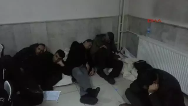 Https Www Haberler Com Ozel Haber Yumurtlayamayan Iguanaya Operasyon 5869605 Haberi Https Foto Haberler Com Haber 2014 04 04 Ozel Haber Yumurtlayamayan Iguanaya Operasyon 5869605 O Jpg Https Www Haberler Com Kck Ana Davasinda 91