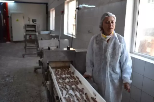 Gelibolulu Kadın Girişimcinin Zaferi Gelibolulu Kadın Girişimcinin Zaferi