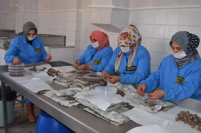Gelibolulu Kadın Girişimcinin Zaferi Gelibolulu Kadın Girişimcinin Zaferi