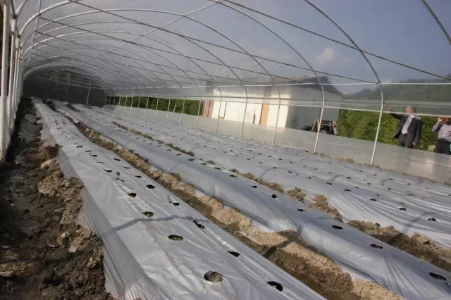 Sapanca'dan Kısa Kısa Sapanca'dan Kısa Kısa