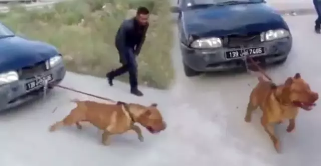haber son dakika haberler