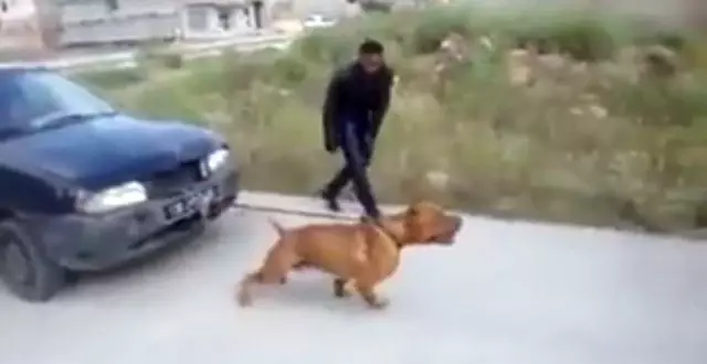haber son dakika haberler