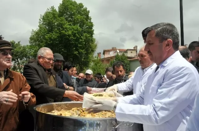 Kütahya'da Alabalık Festivali Kütahya'da Alabalık Festivali