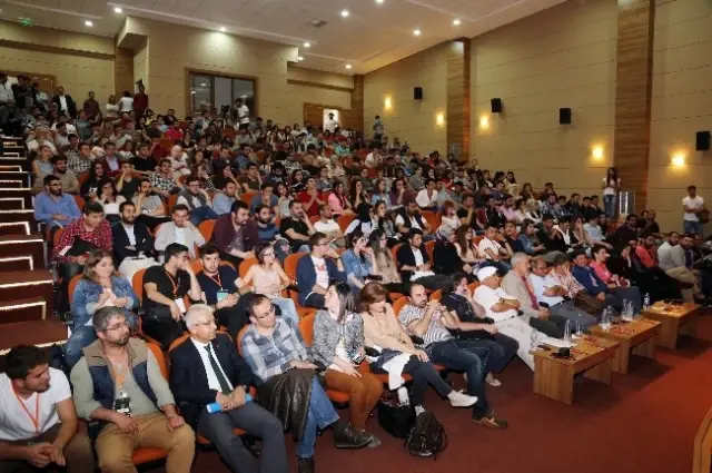 2. Altın Çınar Dolu Dolu 2. Altın Çınar Dolu Dolu