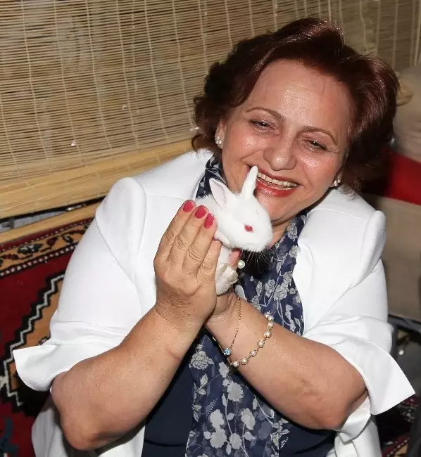 Diken ile Gülleri Diken ile Gülleri