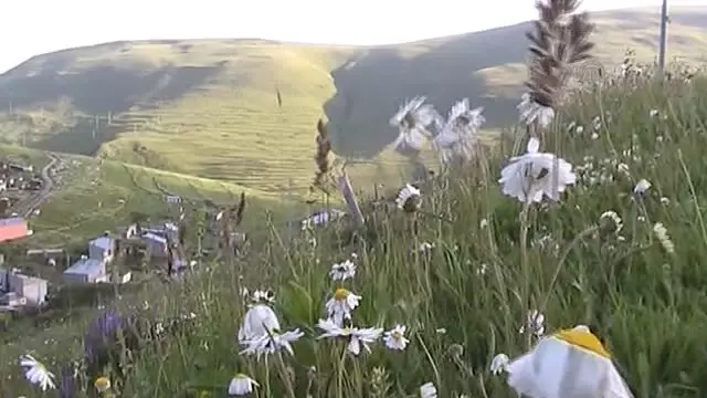 Atatürk silüeti ile özçekim -