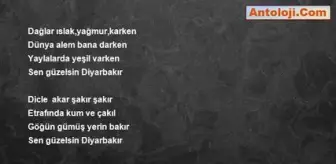 Aydin Kizir Sen Guzelsin Diyarbakir Haberler Haberler Com