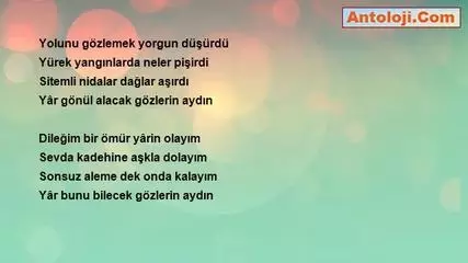 Emine Safak Gozlerin Aydin Haberler