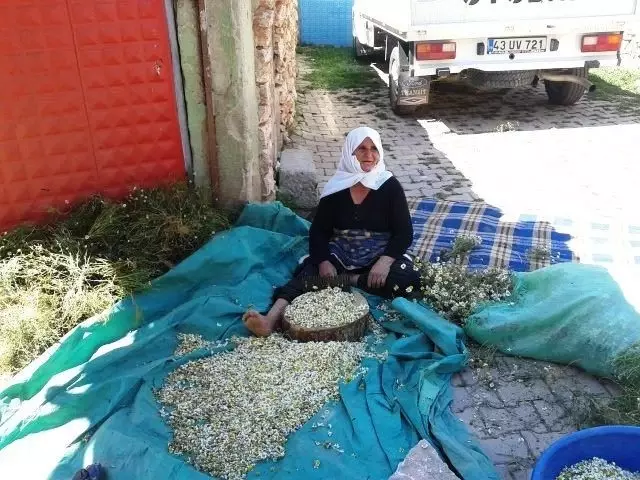 haberler son dakika haber