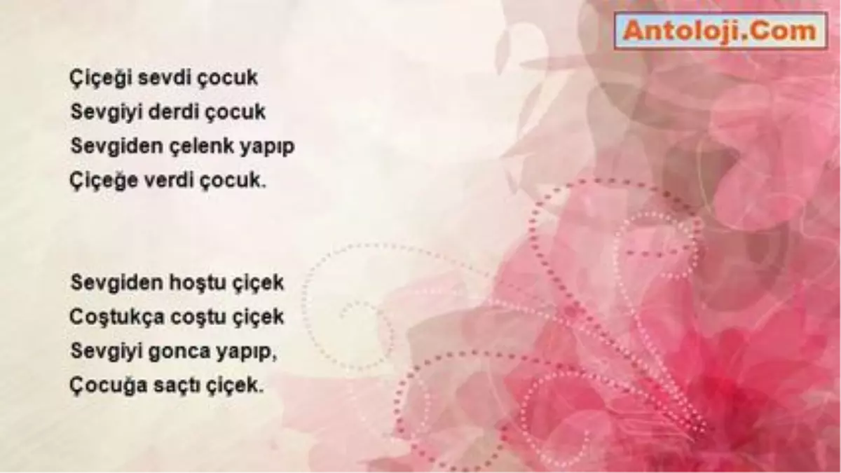 Veli Bilici Cicek Cocuk Haber