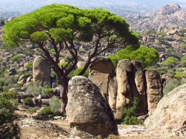 Çavdar'da Maden Ocağı İsyanı