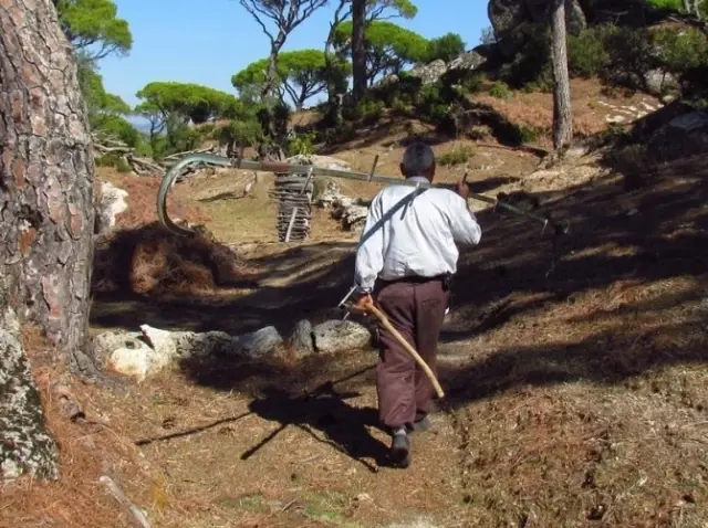 Çavdar'da Maden Ocağı İsyanı