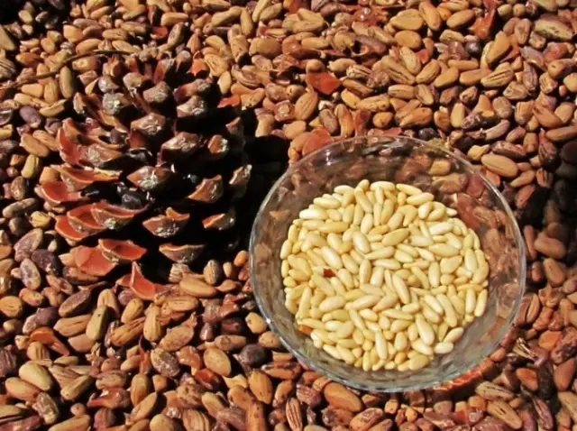 Çavdar'da Maden Ocağı İsyanı