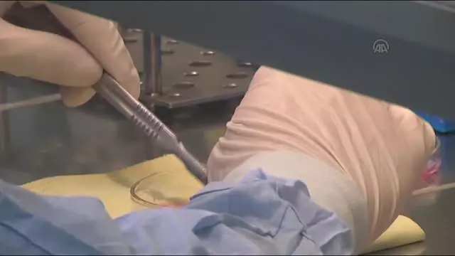 Türkiye'nin her tarafına hücre üretiyorlar -