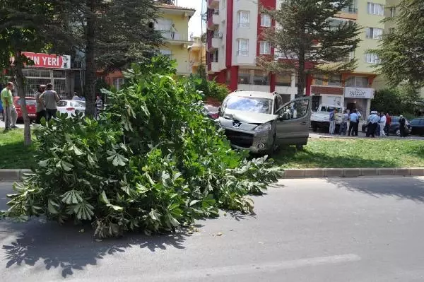 Önce Kamyonete, Sonra Şoförüne Çarpıp Ağacı Devirdi: 2 Yaralı Önce Kamyonete, Sonra Şoförüne Çarpıp Ağacı Devirdi: 2 Yaralı