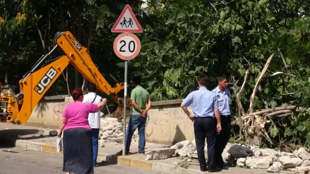 Ağaçları Kestirmemek İçin İş Makinasının Önünde Nöbet Tuttular