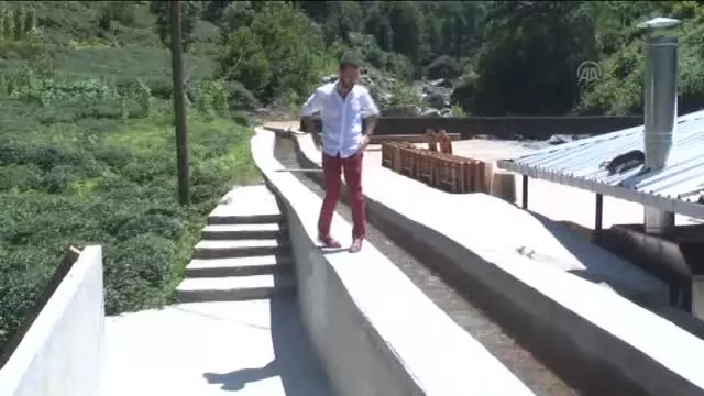 Sanatçı Sinan Özen'den Başbakan Erdoğan'a destek -