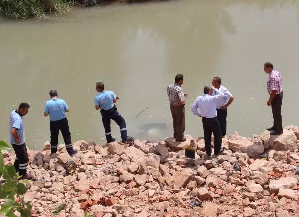 Cip Kelkit Çayı'na Uçtu: 4 Yaralı