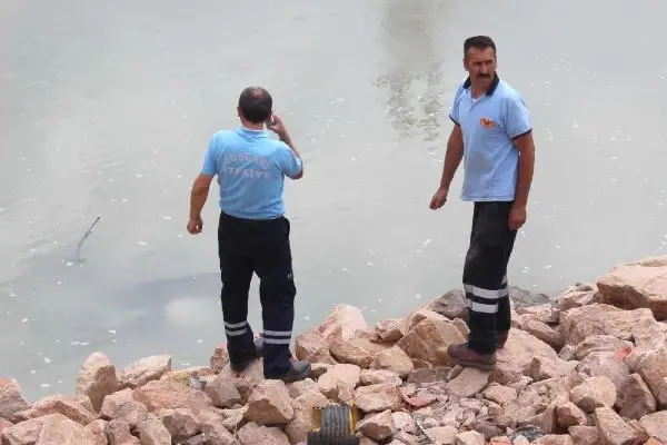 Cip Kelkit Çayı'na Uçtu: 4 Yaralı