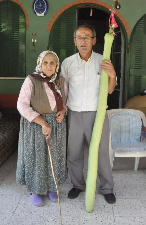 1 Metre 75 Santim Uzunluğundaki Kabak Şaşırttı