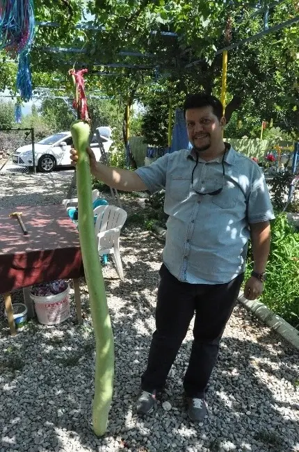 2 Metrelik Kabak Görenleri Şaşırtıyor