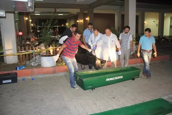 Kafeteryada Silahlı Kavga: 2 Ölü, 3 Yaralı Kafeteryada Silahlı Kavga: 2 Ölü, 3 Yaralı