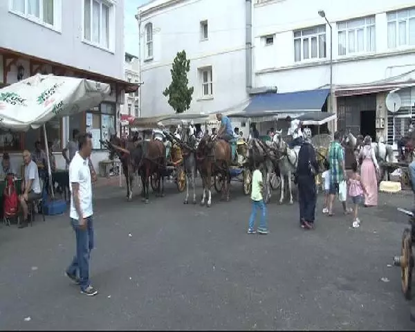 Faytoncular Eylem Hazırlığındaki Hayvanseverlere Yanıt Verdi Faytoncular Eylem Hazırlığındaki Hayvanseverlere Yanıt Verdi