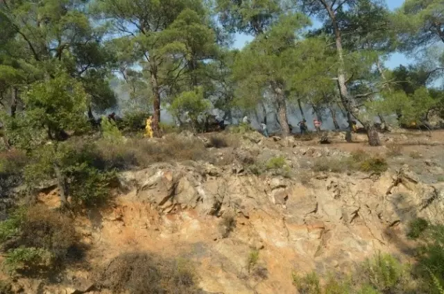 Kiraz ve Ödemiş'te Çıkan Yangınlar Korkuttu