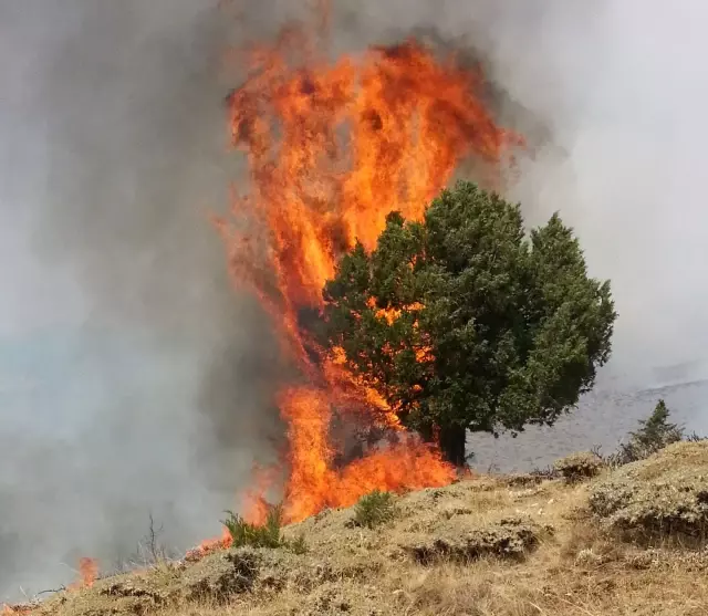 Sivas'ta Dağlık Alanda Yangın