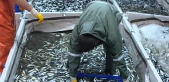 Erdek'te Balık Avlanma Sezonu Açılışı