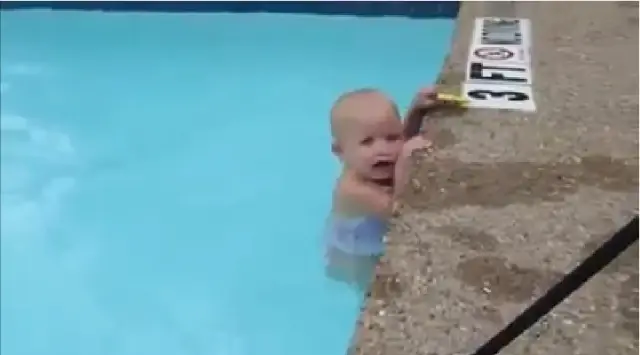 Minik Bebek Havuzda Tek Basina Yuzdu Haberler
