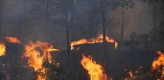 Afyonkarahisar'ın Orman Yangını Bilançosu