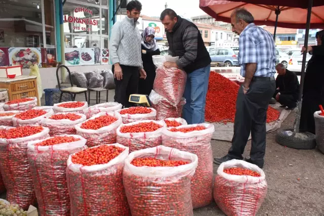 Kuşburnu Satışları Zirve Yaptı