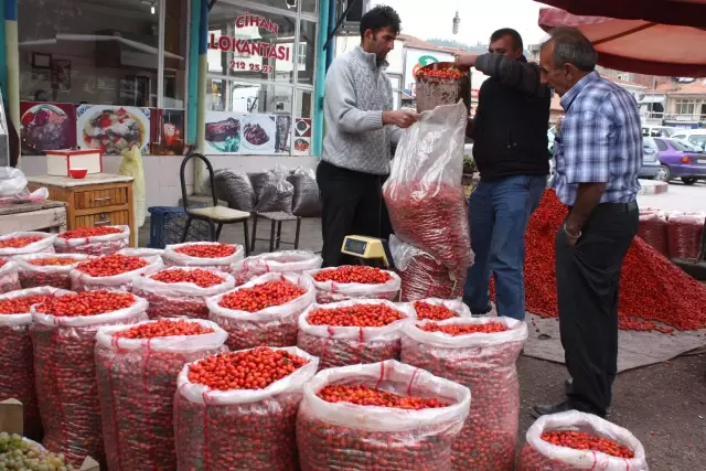 Kuşburnu Satışları Zirve Yaptı