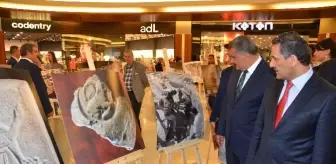 Marcella Frangipane: 52. Yılında Arslantepe Höyüğü Fotoğraflarla Kazı Sergisi' İlgi Gördü Marcella Frangipane: 52. Yılında Arslantepe Höyüğü Fotoğraflarla Kazı Sergisi' İlgi Gördü