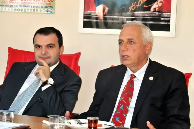 Kivi Üretiminin %70'i Yalova'dan Kivi Üretiminin %70'i Yalova'dan