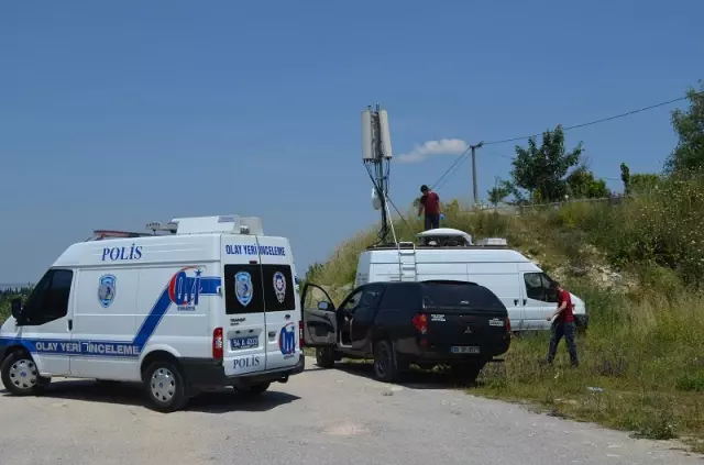 Kivi Üretiminin %70'i Yalova'dan Kivi Üretiminin %70'i Yalova'dan