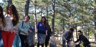 Üniversite Öğrencilerden Orman Temizliği