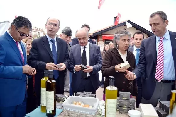 Ayvalık'ta Uluslararası Zeytin Hasat Günleri Başladı Ayvalık'ta Uluslararası Zeytin Hasat Günleri Başladı