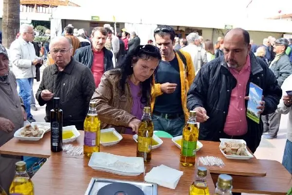 Ayvalık'ta Uluslararası Zeytin Hasat Günleri Başladı Ayvalık'ta Uluslararası Zeytin Hasat Günleri Başladı