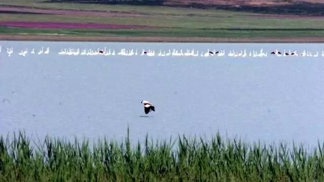 Kuraklık Akgöl'ünü Coğrafi Haritalardan Sildi