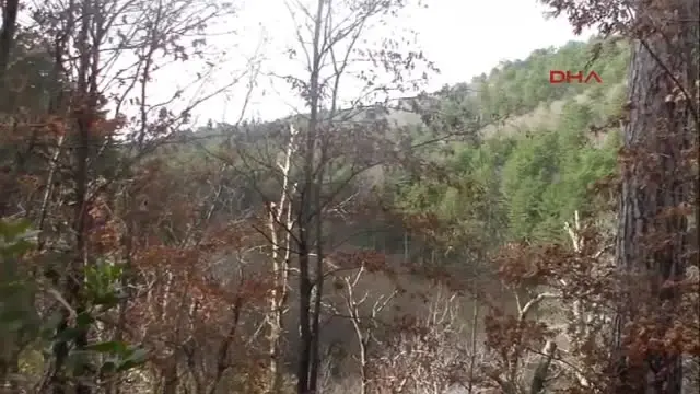 canakkale kazdaglari ndaki eski