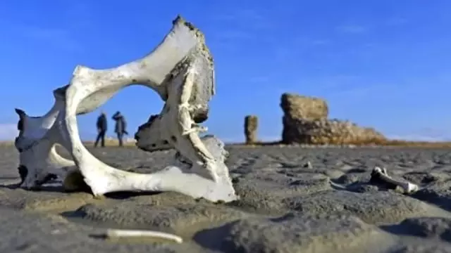 Van Gölü Çekilince Tarihi Kalıntılar Ortaya Çıktı