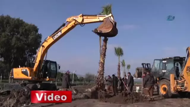Avcı Ramadan Projesi'nde Yeşil Kuşak Harekatı Başladı Avcı Ramadan Projesi'nde Yeşil Kuşak Harekatı Başladı