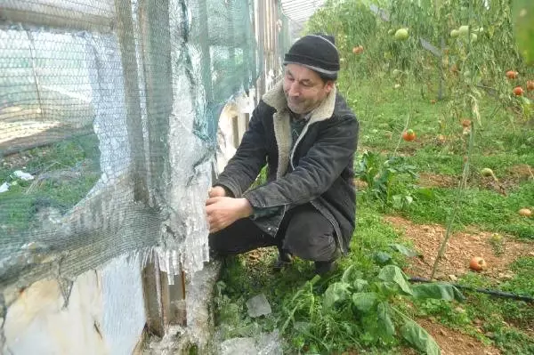 Anamur'da Seralar Buz Kesti Anamur'da Seralar Buz Kesti