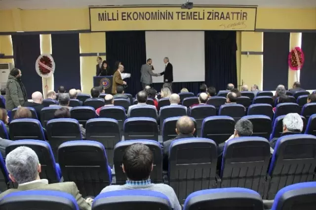 Kurt: Çakma veya Gecekondu Ziraat Fakülteleri